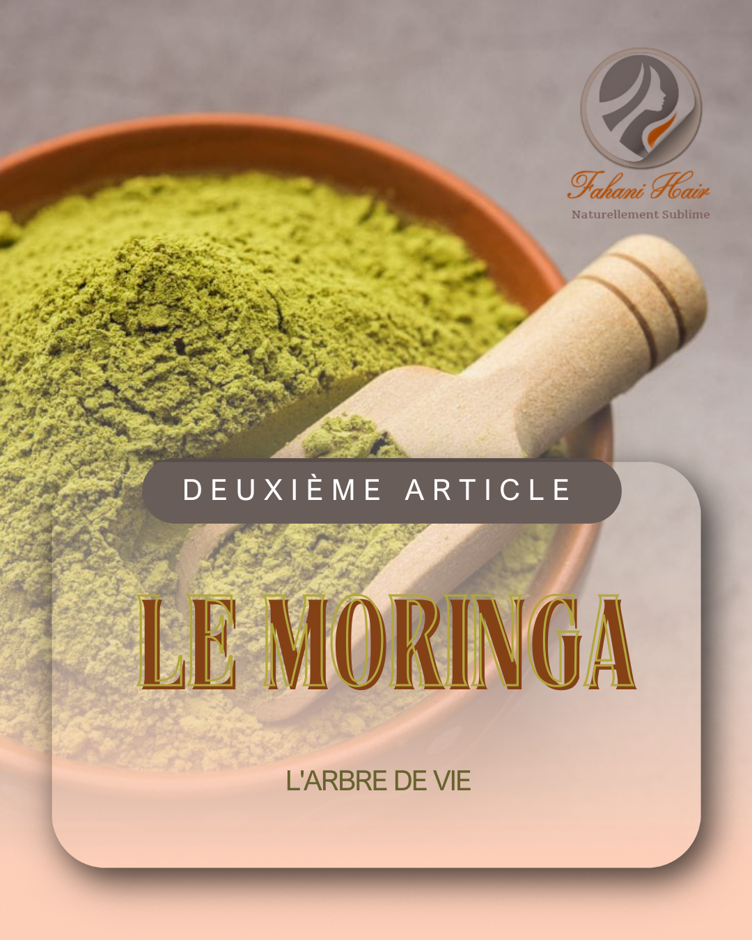 Le Moringa: l'arbre de vie !
