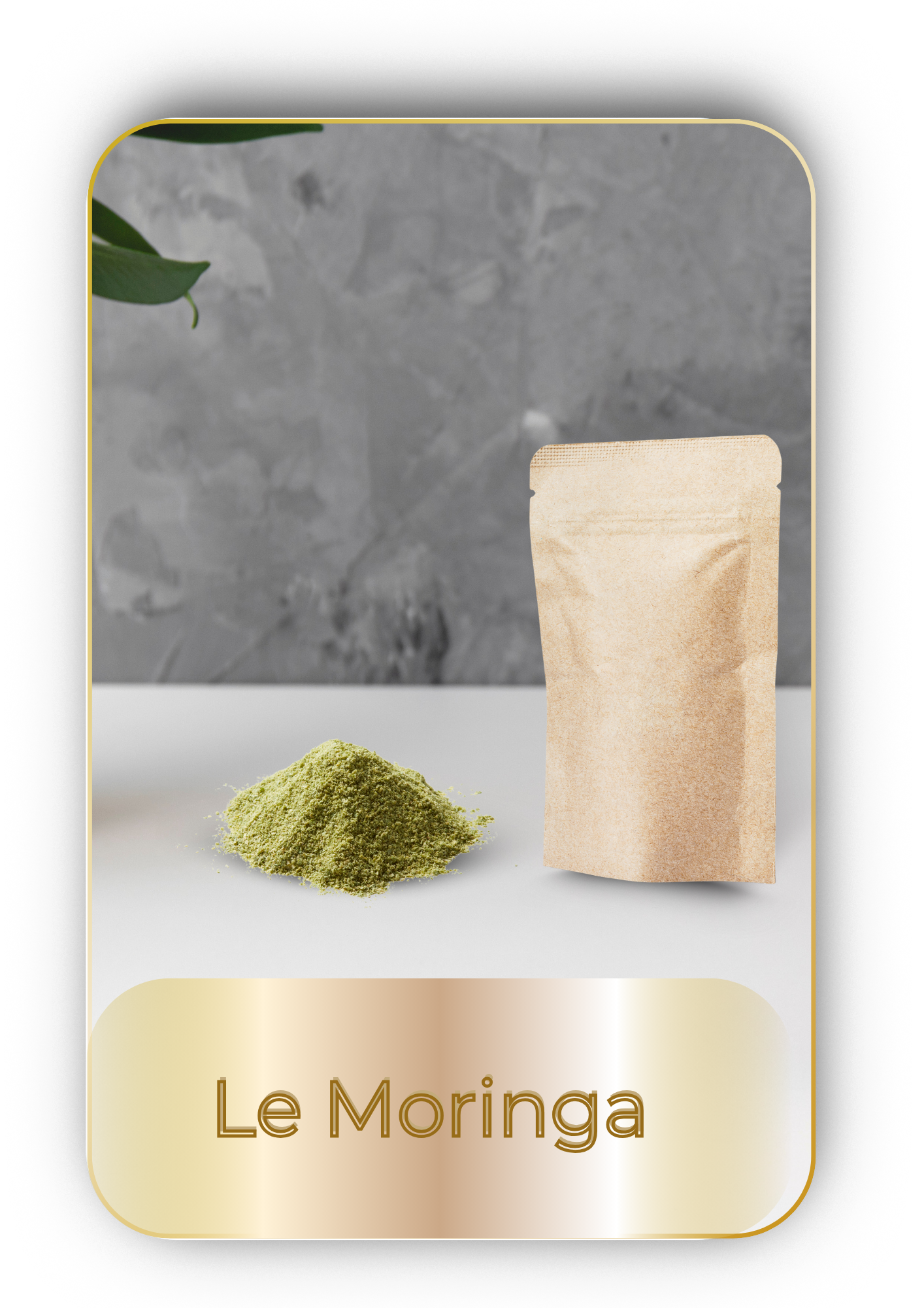 Sachet de moringa 45g